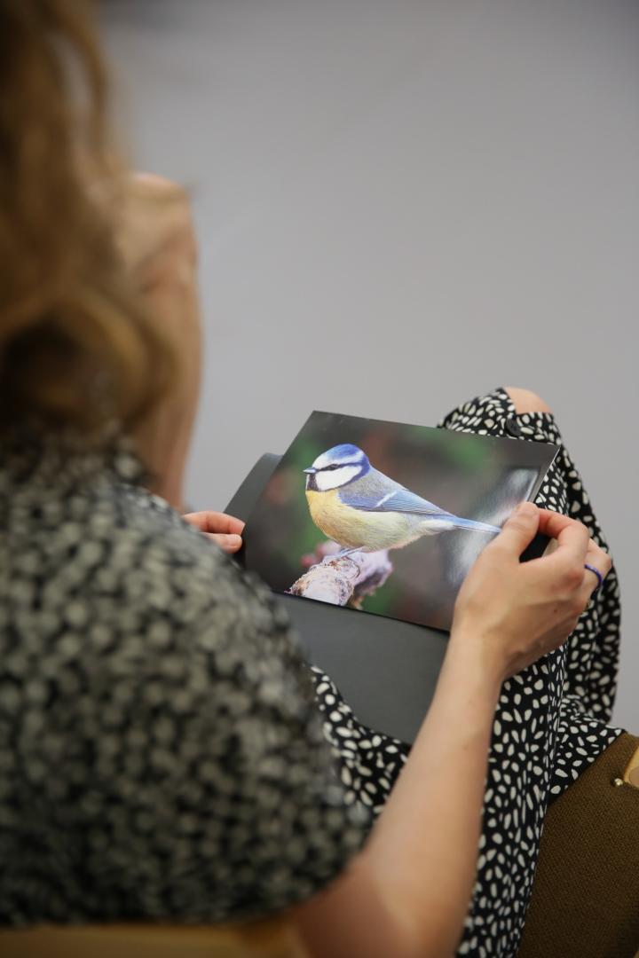 Eine Person schaut auf eine Grafik mit Vogel